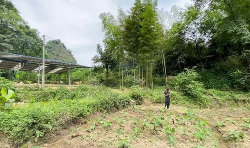 男子33年寻亲成功 家中只剩母亲