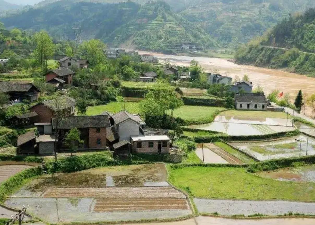 7月起村干部又要忙了严查3件事? 答案揭晓 7月起村干部又要忙了严查3件事? 答案揭晓