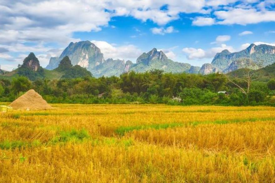 再过10年,车和房将不再值钱?农村人追求的“3样宝”,家家都有 再过10年,车和房将不再值钱?农村人追求的“3样宝”,家家都有