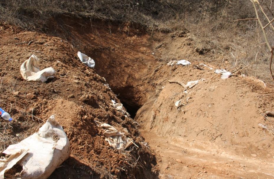 0220716113756.jpg 0220716113756.jpg