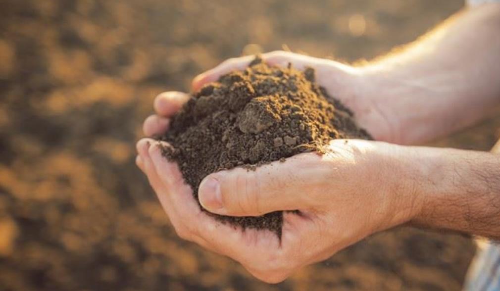 永久退出土地6万元/亩!承包出去一年1000元/亩!你选哪个? 永久退出土地6万元/亩!承包出去一年1000元/亩!你选哪个?