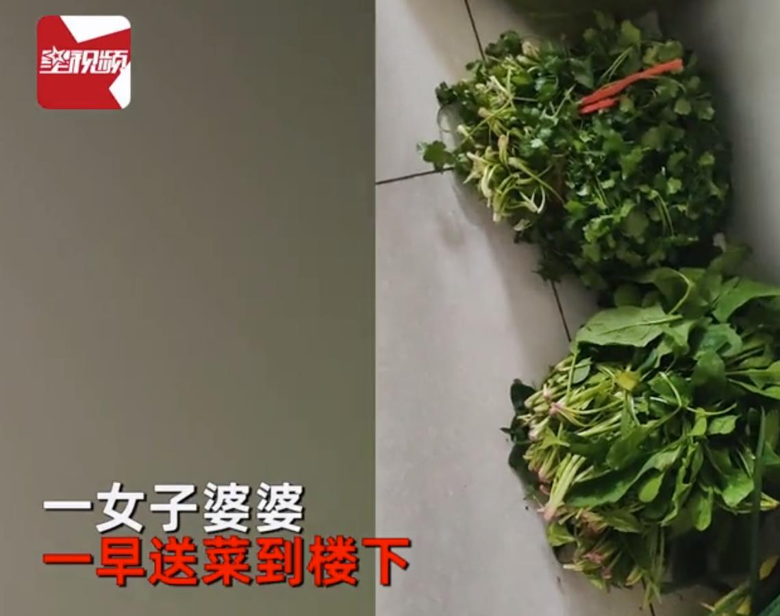 婆婆一早送菜怕吵醒儿媳放楼下女子拿回摆满一地:还清理干净了
