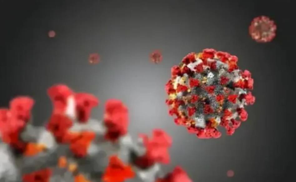 0221226094721.jpg 0221226094721.jpg