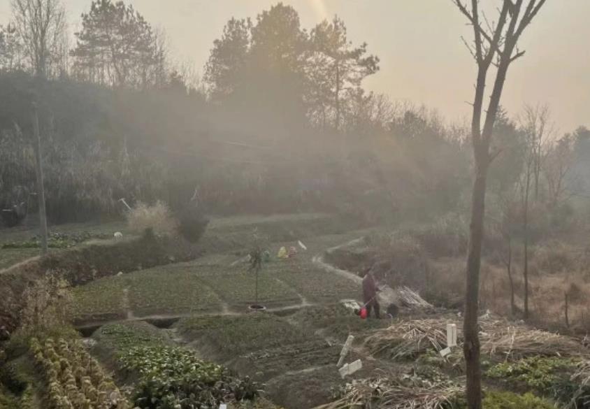 0230127171605.jpg 0230127171605.jpg