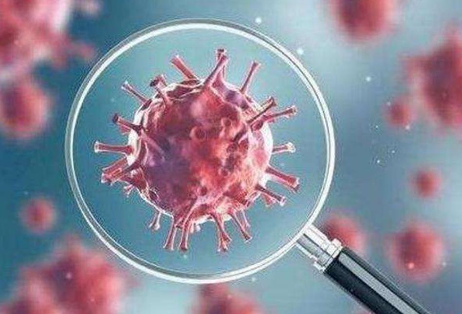 16465501178552244.jpg 16465501178552244.jpg