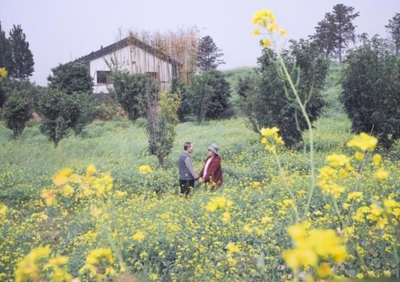 0231002150058.jpg 0231002150058.jpg