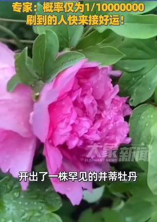 20260413170550.jpg 20260413170550.jpg